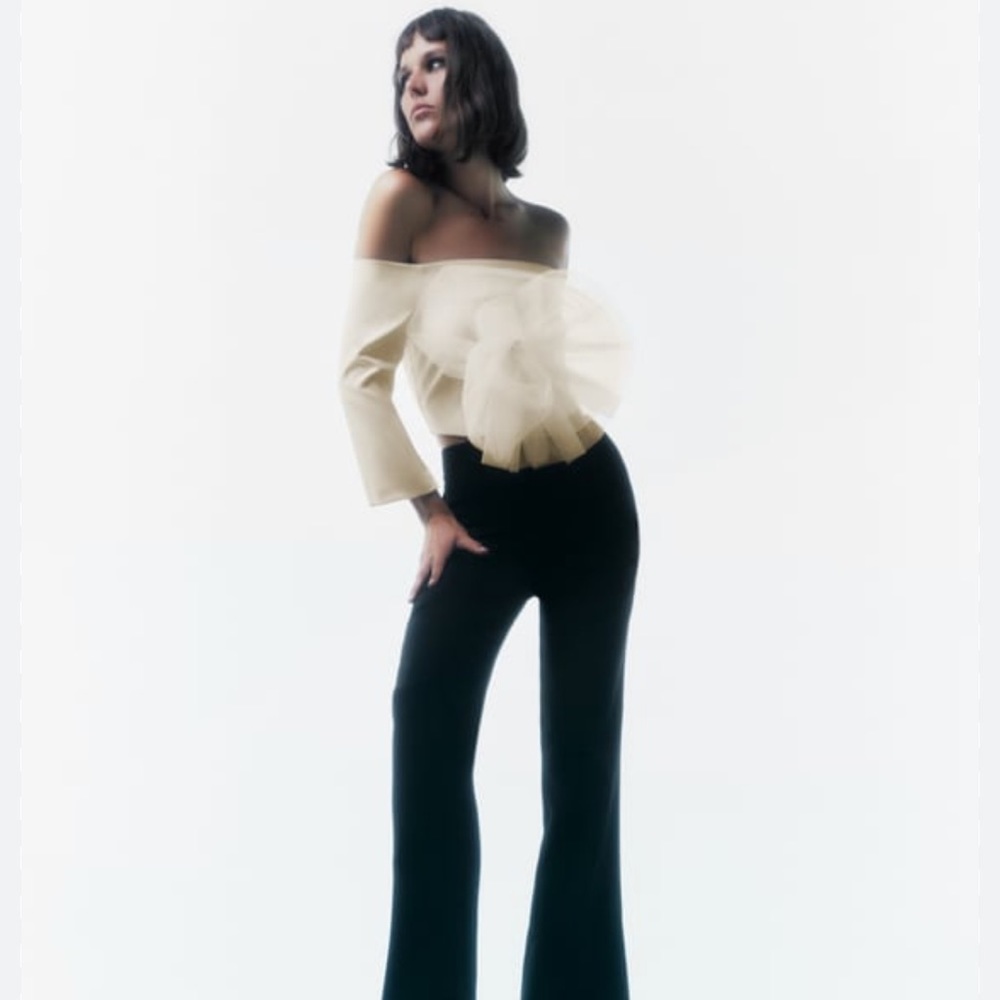 Zara cropped floral tulle top